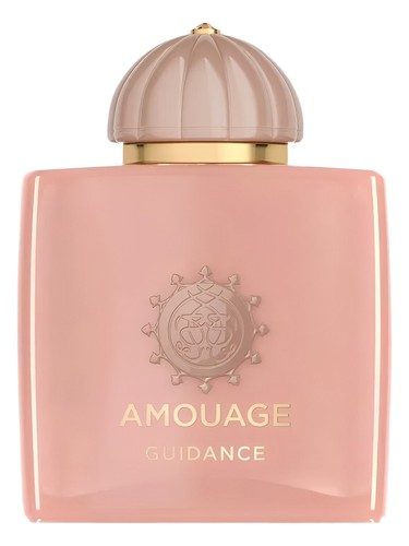 Guidance — Amouage