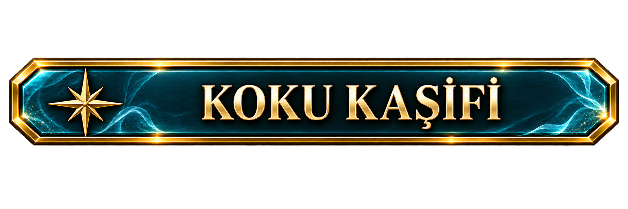 Koku Kaşifi
